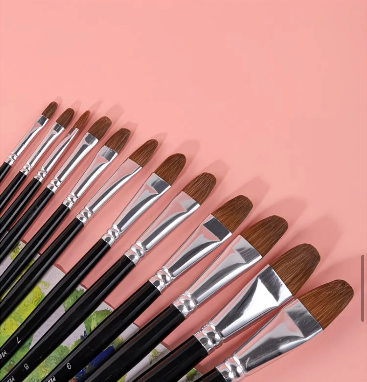 Wolf Hair Brush – 12 Piece Set (with Free Case)