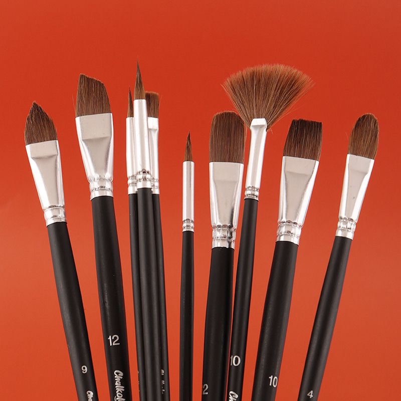 Wolf Hair Brush Set – 10 Pieces (with Free Case) - Image 4